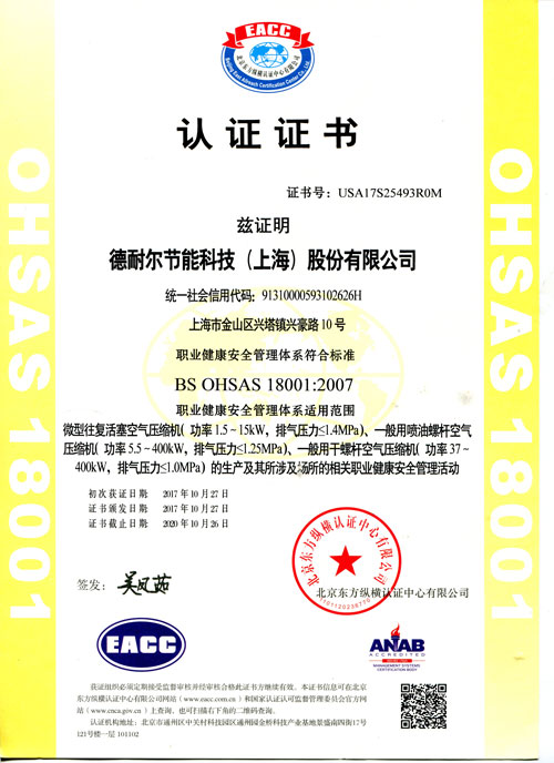 BS OHSAS 180012007（中文）
